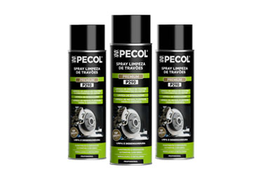 Spray Limpeza Travões P290