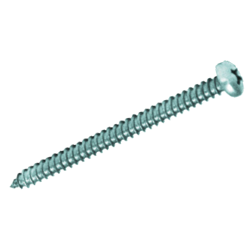 DIN7981 Inox A2
